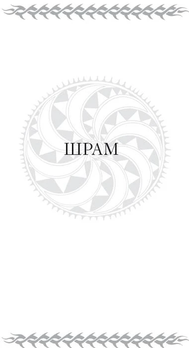 Иллюстрация к книге — Скитальцы [book-illustration-4.webp]