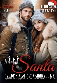 Книга Тайный Санта. Подарок для окольцованных