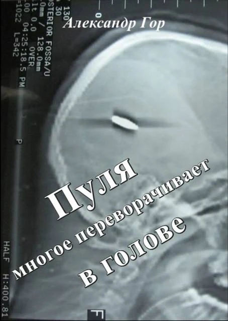 Книга Пуля многое переворачивает в голове