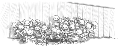 Иллюстрация к книге — Тайна пропавшего Принца [book-illustration-3.webp]