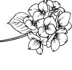 Иллюстрация к книге — Чун Цзы. Книга 1 [book-illustration-31.webp]