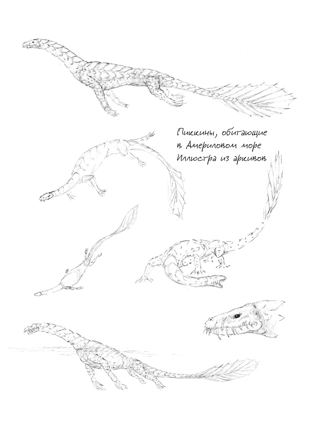 Иллюстрация к книге — Павшая луна: комплект из 2 книг [book-illustration-22.webp]