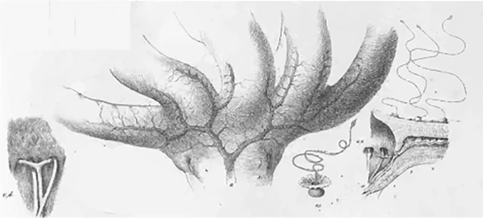 Иллюстрация к книге — Волна огня [book-illustration-36.webp]