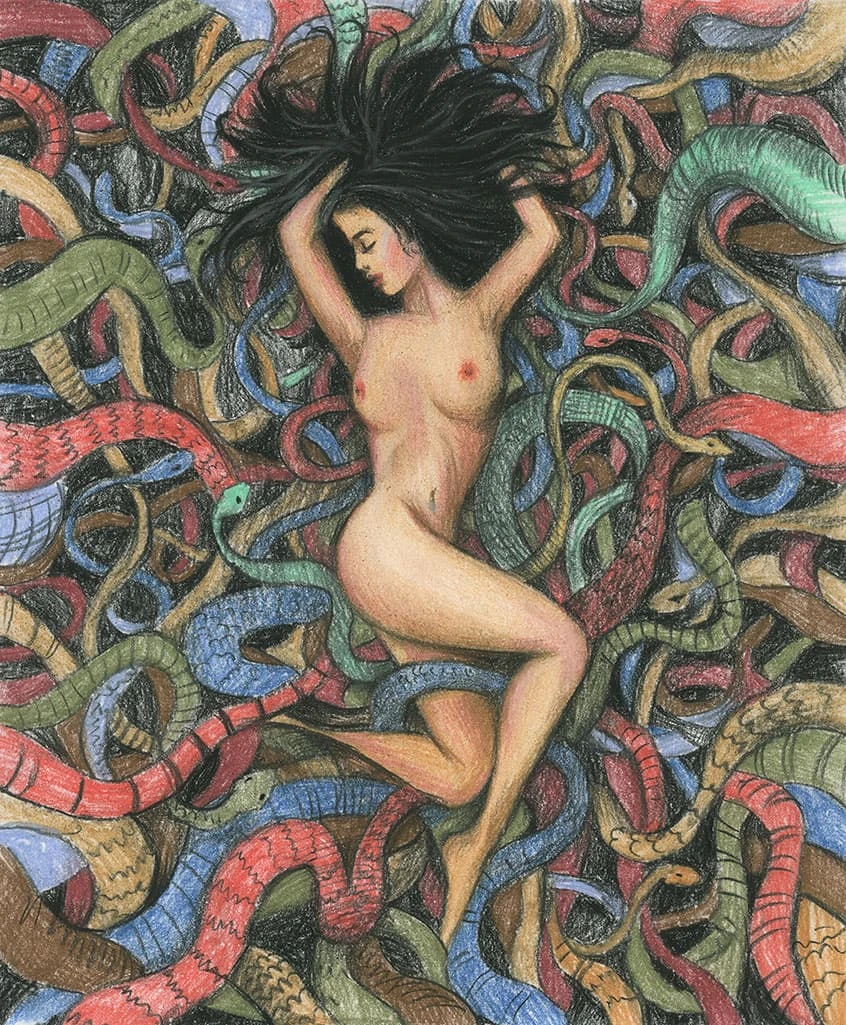 Иллюстрация к книге — Михайловская дева [book-illustration-1.webp]