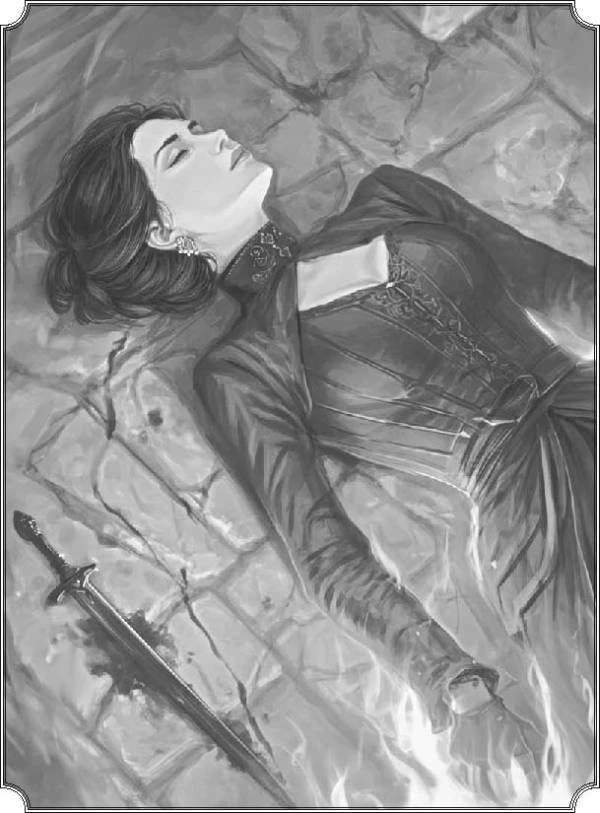 Иллюстрация к книге — Полет алого дракона [book-illustration-2.webp]