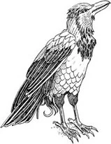Иллюстрация к книге — Сфинкс, дракон и девочка с птицей [book-illustration-3.webp]