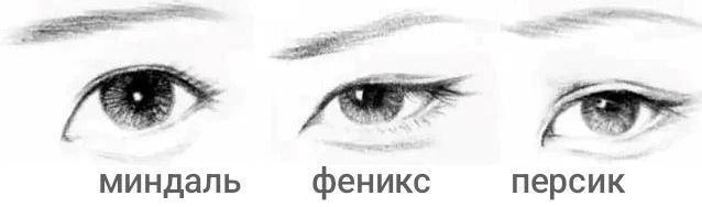 Иллюстрация к книге — Я вернулась, чтобы сжечь его дом. Том 2 [book-illustration-9.webp]