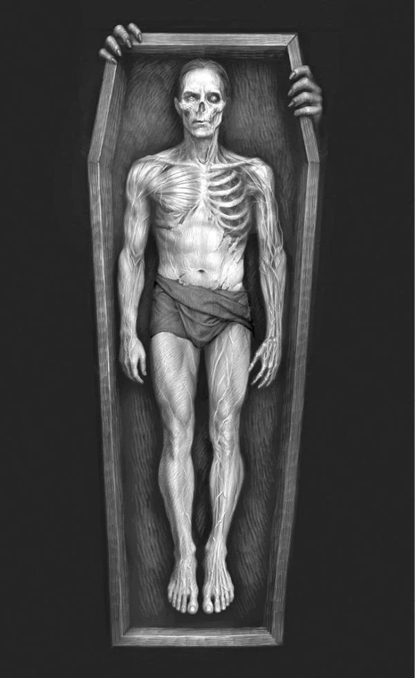 Иллюстрация к книге — Влад [book-illustration-4.webp]
