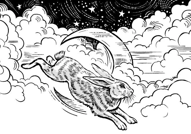 Иллюстрация к книге — Даша и дракон из зеркала [book-illustration-22.webp]