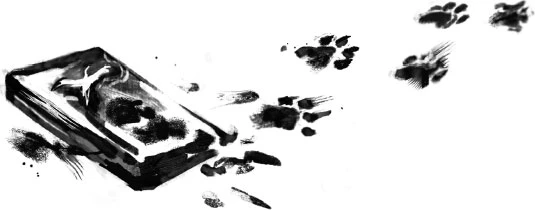 Иллюстрация к книге — Белый кот старейшины Цунчжэ. Том 1 [book-illustration-4.webp]