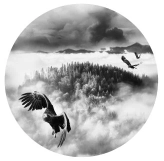 Иллюстрация к книге — Дыхание снега и пепла [book-illustration-1.webp]