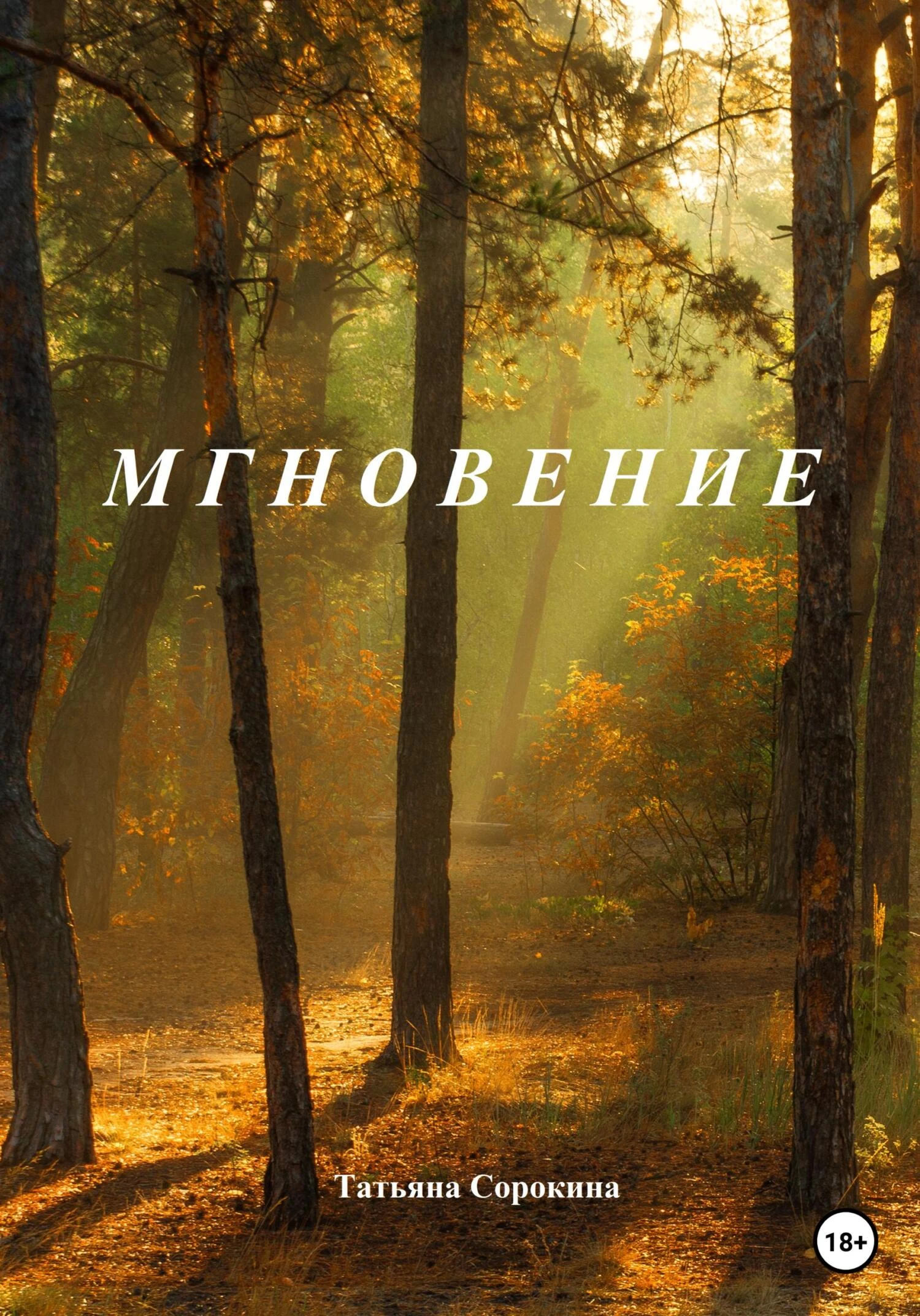 Книга Мгновение
