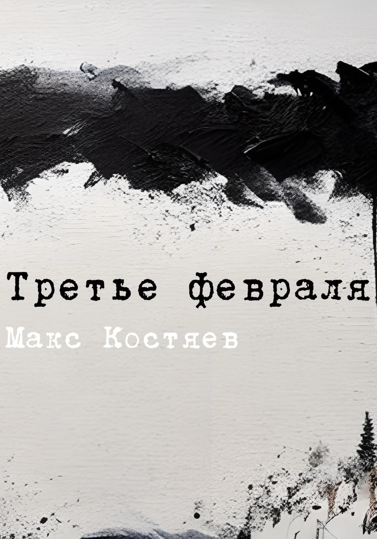 Книга Третье февраля