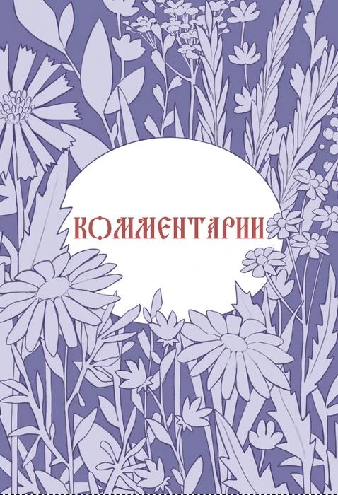 Иллюстрация к книге — Русские заветные сказки [book-illustration-101.webp]