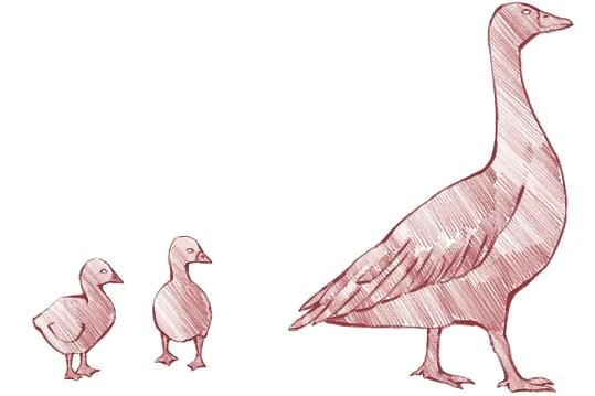 Иллюстрация к книге — Русские заветные сказки [book-illustration-22.webp]