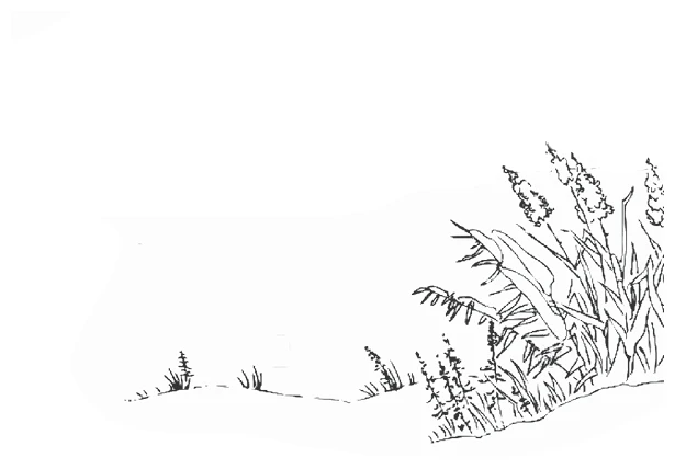 Иллюстрация к книге — Дотронуться до сердца [book-illustration-18.webp]