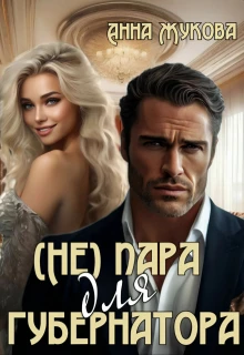 Книга ( Не ) пара для губернатора
