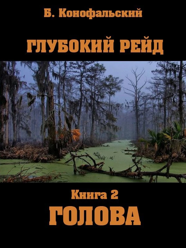 Книга Глубокий рейд. Голова