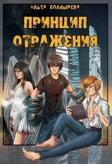 Книга Принцип отражения