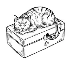 Иллюстрация к книге — Свежие сплетни для настоящей лентяйки [book-illustration-8.webp]