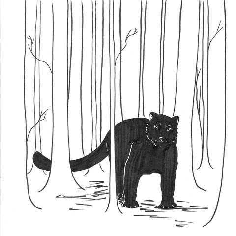 Иллюстрация к книге — Приключения Фыси [book-illustration-11.webp]