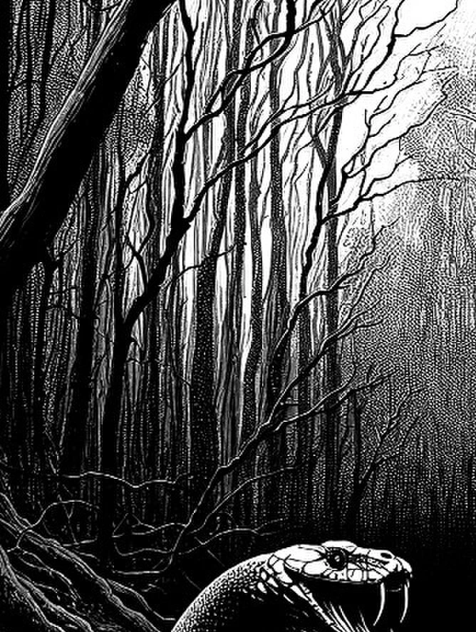 Иллюстрация к книге — Новая фантастика 2024. Антология № 8 [book-illustration-13.webp]
