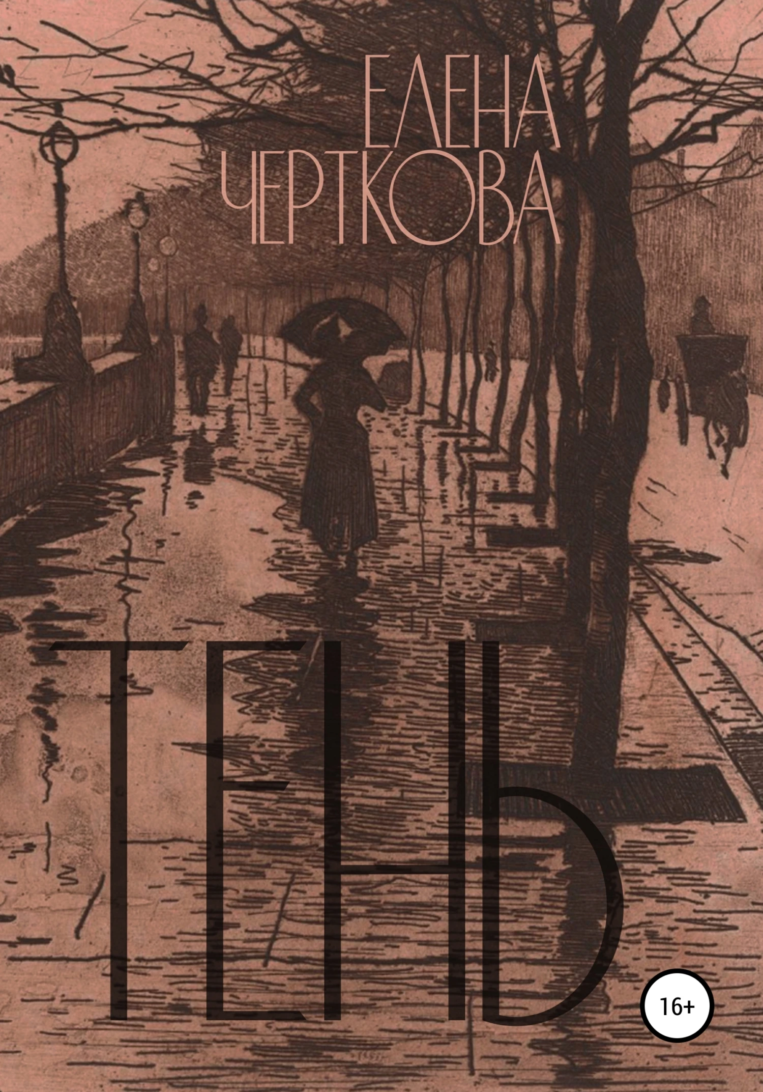 Книга Тень