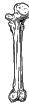 Иллюстрация к книге — Вселенная ужасов Влада Райбера [book-illustration-179.webp]