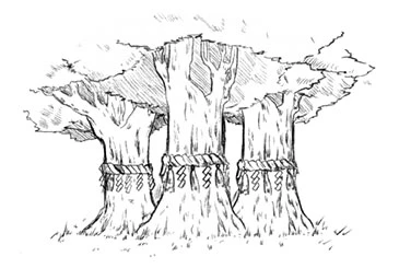 Иллюстрация к книге — Тайна ворона [book-illustration-3.webp]
