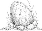 Иллюстрация к книге — Когда имеешь дело с драконами [book-illustration-15.webp]