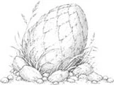 Иллюстрация к книге — Когда имеешь дело с драконами [book-illustration-21.webp]