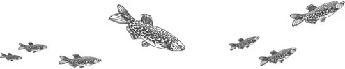 Иллюстрация к книге — Стон океана [book-illustration-42.webp]