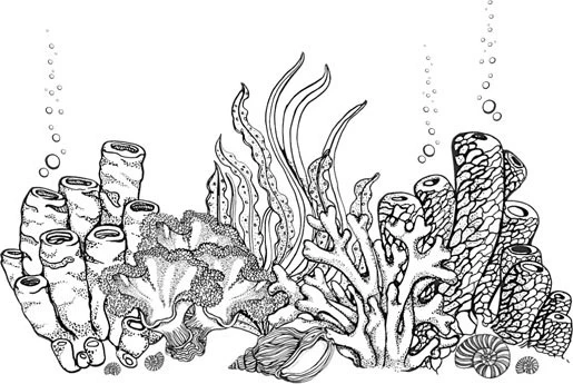 Иллюстрация к книге — Стон океана [book-illustration-54.webp]