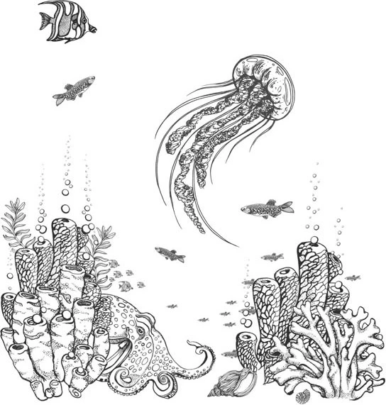 Иллюстрация к книге — Стон океана [book-illustration-66.webp]