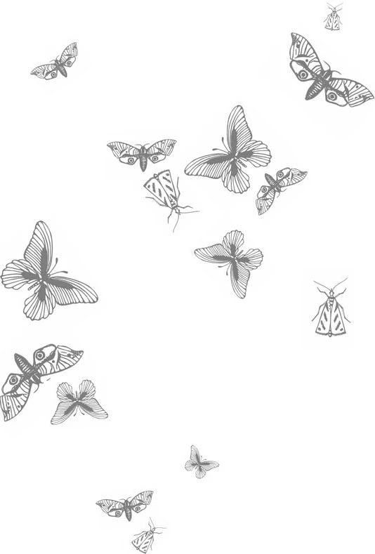 Иллюстрация к книге — Любовь всей моей смерти. Том 2 [book-illustration-10.webp]