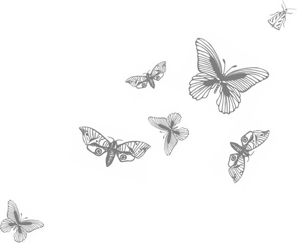 Иллюстрация к книге — Любовь всей моей смерти. Том 2 [book-illustration-11.webp]