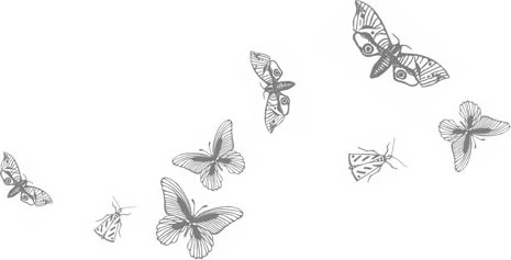 Иллюстрация к книге — Любовь всей моей смерти. Том 2 [book-illustration-13.webp]