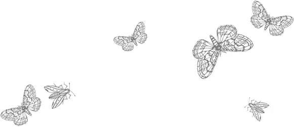Иллюстрация к книге — Любовь всей моей смерти. Том 2 [book-illustration-3.webp]