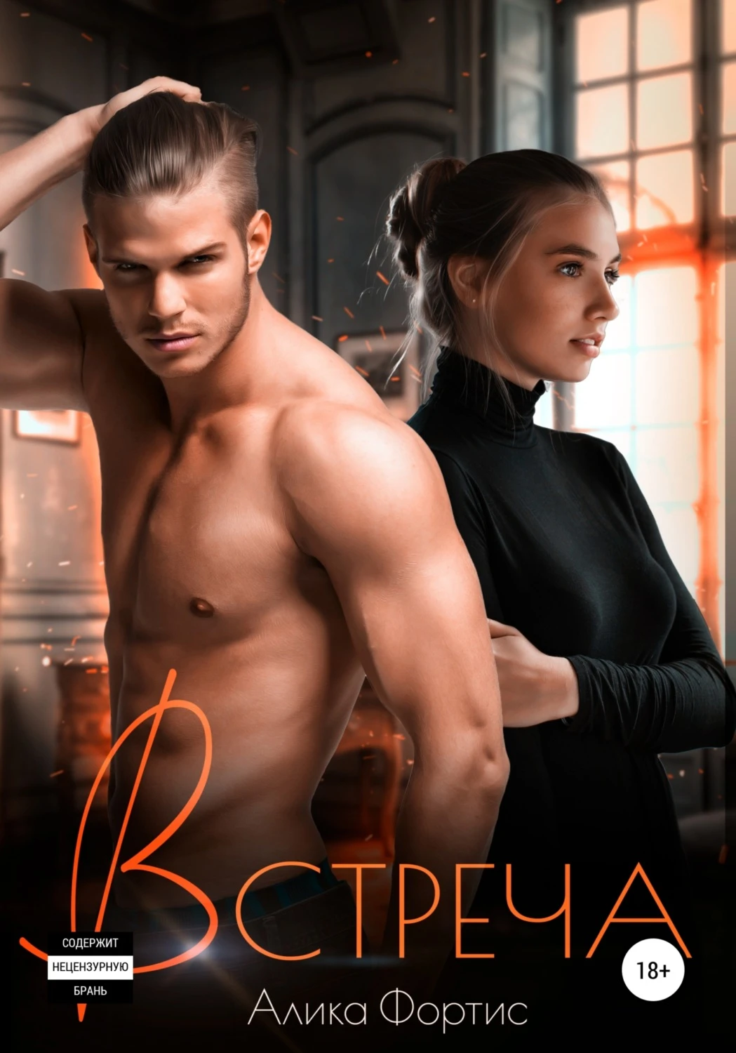 Книга Встреча