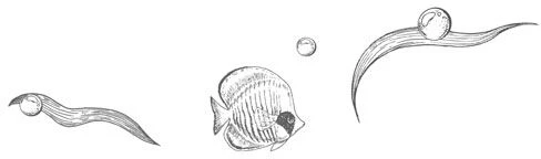 Иллюстрация к книге — Стань светом в темном море. Том 3 [book-illustration-107.webp]