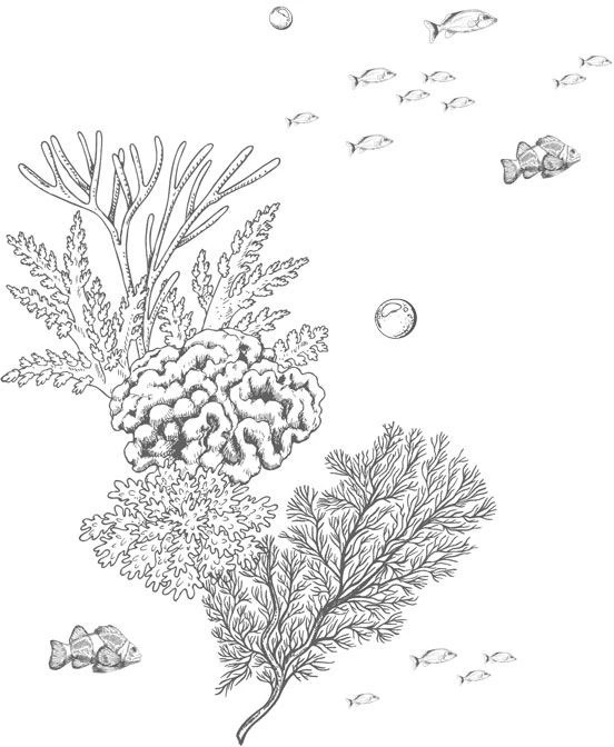 Иллюстрация к книге — Стань светом в темном море. Том 3 [book-illustration-28.webp]