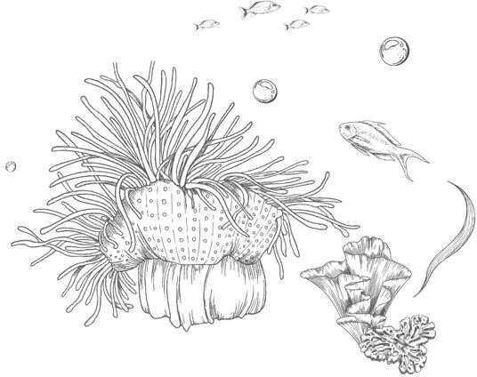 Иллюстрация к книге — Стань светом в темном море. Том 3 [book-illustration-35.webp]