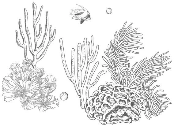 Иллюстрация к книге — Стань светом в темном море. Том 3 [book-illustration-48.webp]