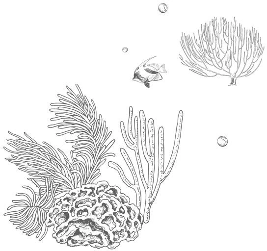Иллюстрация к книге — Стань светом в темном море. Том 3 [book-illustration-50.webp]