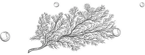 Иллюстрация к книге — Стань светом в темном море. Том 3 [book-illustration-94.webp]