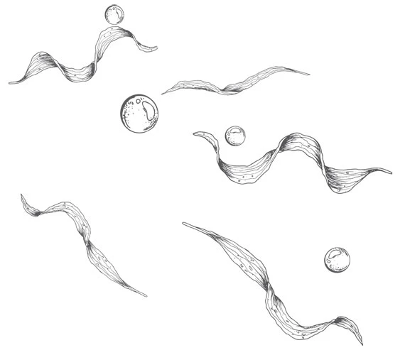 Иллюстрация к книге — Стань светом в темном море. Том 2 [book-illustration-38.webp]