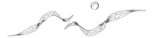 Иллюстрация к книге — Стань светом в темном море. Том 2 [book-illustration-41.webp]