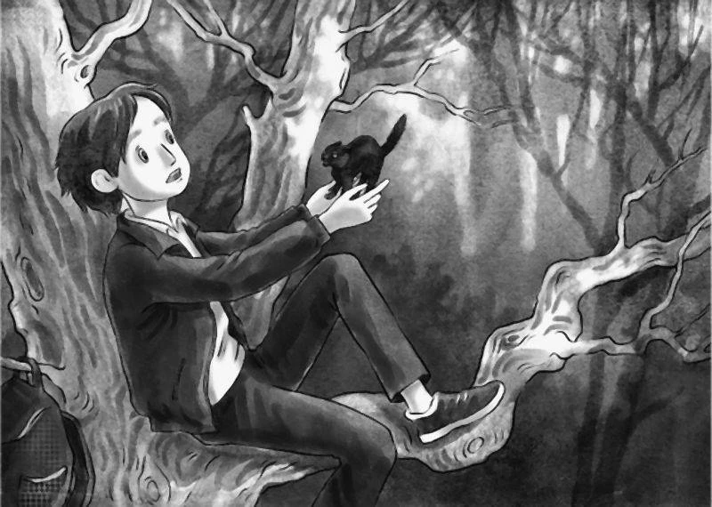 Иллюстрация к книге — Друг с далёкой планеты [book-illustration-11.webp]