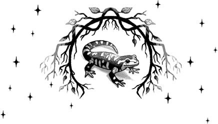 Иллюстрация к книге — Как не влюбиться в ведьму [book-illustration-9.webp]