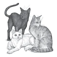 Иллюстрация к книге — На дне озерном [book-illustration-16.webp]